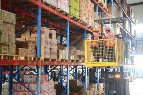 數字化轉型 一場被低估的食品行業物流戰爭