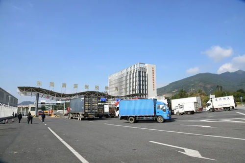 累計進出區貨值超1884億元 清溪保稅物流中心迎來封關運行四周年，技術進出口成亮點